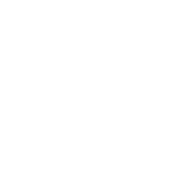 Contact Us light phone icon